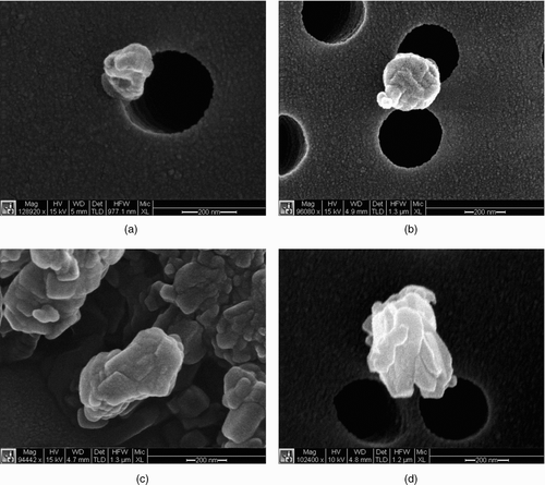 FIG. 3 SEM images for (a) adipic acid generated by homogeneous condensation, (b) adipic acid generated by atomization, (c) azelaic acid generated by homogeneous condensation, and (d) azelaic acid generated by atomization.