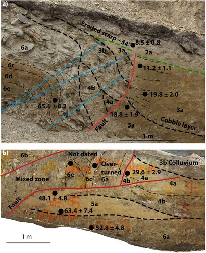 Figure 10. (a) Interpretation of the upper limit of faulting on the north wall of the Lug Creek trench, showing undeformed silt layer (2a) uniformly overlying both the footwall and eroded hanging wall, and onlapping colluvium on the hanging wall; (b) interpretation of deformation on the lower north wall of the Lug Creek trench. Units 4a and 4b sit stratigraphically above unit 5a, but also onlap unit 6a in the now over-turned fault tip, providing evidence for an earthquake between deposition of unit 5a and deposition of unit 4b. Red lines shows the fault, blue dashed lines show fold axes, black dashed lines show stratigraphic boundaries and green dashed line show unconformity prior to deposition of post-faulting loess unit 2a. Black dots show OSL sample locations with ages in thousands of years before present.