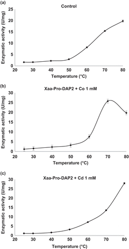 Figure 3. Effect of temperature on enzymatic activity of Xaa-Prolyl dipeptidyl aminopeptidase (Xaa-Pro-DAP2). (a) Control: Xaa-Pro-DAP2 activity without cations in the enzyme extract. (b) Xaa-Pro-DAP2 activity in the enzyme extract in the presence of CoCl2 at a concentration of 1 mM. (c) Xaa-Pro-DAP2 activity in the enzyme extract in the presence of CdCl2 at concentration of 1.0 mM. Mean values are connected by a line, bars represent standard deviations (n = 3).Figura 3. Efecto de la temperatura sobre la actividad enzimática de Xaa-Prolyl dipeptidyl aminopeptidase (Xaa-Pro-DAP2). (a) Control: Actividad de Xaa-Pro-DAP2 en el extracto enzimático en ausencia de cationes (b) Actividad de Xaa-Pro-DAP2 en el extracto enzimático en presencia de CoCl2 a 1 mM y (c) Actividad de Xaa-Pro-DAP2 en el extracto enzimático en presencia de CdCl2 a 1.0 mM. Los valores de las medias están unidos por una línea, las barras representan la desviación standard (n = 3).