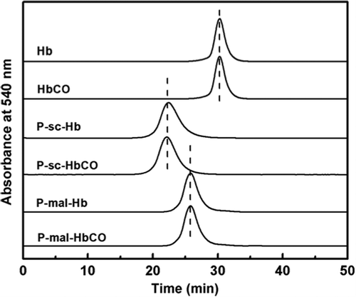 Figure 1. Size exclusion chromatography analysis of the Hb and HbCO samples. The analysis was carried out on a Superdex 200 column (1 cm × 30 cm, GE Healthcare, USA) at room temperature. The column was eluted with PBS buffer (pH 7.4) at a flow rate of 0.5 ml/min. The effluent was monitored at 540 nm.