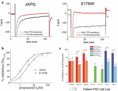 Figure 2. Propranolol modulation of INaL and INaP in patient derived ΔKPQ and E1784K IPSC-CMS. A. Representative high gain TTX-sensitive traces in the absence (black traces) and presence of 10 μM propranolol (red traces) reveal inhibition of INaL in ΔKPQ and E1784K IPSC-CMs. B. Concentration response curves for patient derived IPSC-CM total populations from three ΔKPQ patients (ΔKPQ2, ΔKPQ6, and ΔKPQ9) and two E1784K patients (EK0 and EK2). IC50 for propranolol inhibition of ΔKPQ patients’ cells combined is 3.3 μM. IC50 of propranolol inhibition of E1784K iPSC myocytes averaged is 1.5 μM. C. Propranolol (10 μM) inhibition of INaL and INaP for each cell line investigated. Currents were elicited using the protocol given in. Figure 1