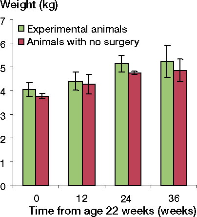 Figure 1. The experimental animals gained weight throughout the experimental period similar to that of the control animals. The number of experimental animals at time zero (age 22 weeks) equalled the total number of animals evaluated at the follow-ups (37), since they were all measured preoperatively. The numbers of experimental animals at 12, 24, and 36 weeks were 8, 11, and 18, respectively. The numbers of animals without surgery at time 0, 12, 24, and 36 weeks were 3, 3, 2, and 2, respectively.