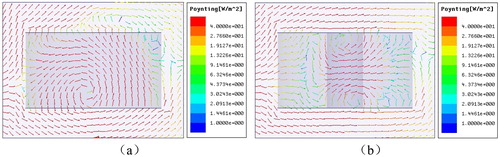 Figure 3. Poynting vector in model of cerebral hemorrhage: (a) separate grey matter cylinder; (b) grey matter and blood cylinders.