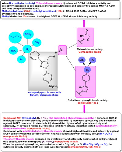 Figure 7. SAR of in vitro anti-inflammatory and cytotoxic activities of compounds 16a,b, and 18a–j.