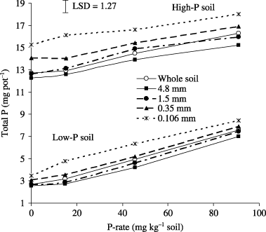 Figure 6  Effect of aggregate size on total P in shoots of corn. Error bar represents one least significant difference (LSD) at P < 0.05.