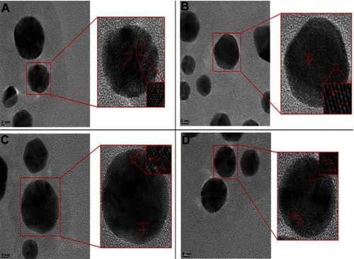 Figure 7 High-resolution transmission electron microscopy images of AuNPs demonstrating lattice fringes: (A) Res-AuNPs: d=0.17 nm, (B) 3× Res-AuNPs: d=0.14 nm, (C) Res-GA-AuNPs: d=0.17 nm, and (D) 3× Res-GA-AuNPs: d=0.17 nm.Abbreviations: AuNPs, gold nanoparticles; Res, resveratrol; GA, gum arabic.