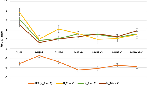 Figure 2. The mRNA expression profile of chosen MAPK-related genes in HaCaT cells was examined after treatment with LPS followed by adalimumab a for durations of 2, 8, and 24 hours, in comparison to the control culture.