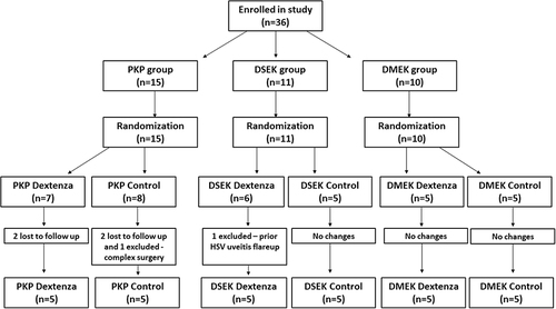 Figure 1 Randomization flow chart depicting the allocation of participants within our study. Participants were first enrolled and then placed into the PKP, DSEK, or DMEK groups based on their ocular characteristics and surgical indications. Within each of these groups, participants were randomized to either the Dextenza or control arm. The numbers indicate the participants at each stage, including those lost to follow up or excluded for specific reasons mentioned.