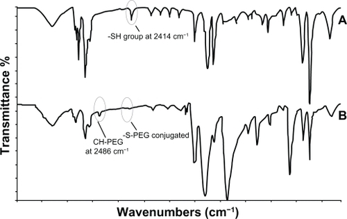 Figure 6 Characterization of the E31C analog and its PEGylated form. Fourier transform infrared spectra of the E31C analog before (A) and after (B) PEGylation reaction. A sharp peak at 2414 cm−1 is shown for the sulfhydryl group of free cysteine at position 31. Additionally, the omission of an observed peak at 2414 cm−1 is assumed for E31C analog–PEG conjugation. Also, the observation of a new apparent peak at 2486 cm−1 (CH-PEG) is a second confirmation of PEGylated conjugate synthesis.