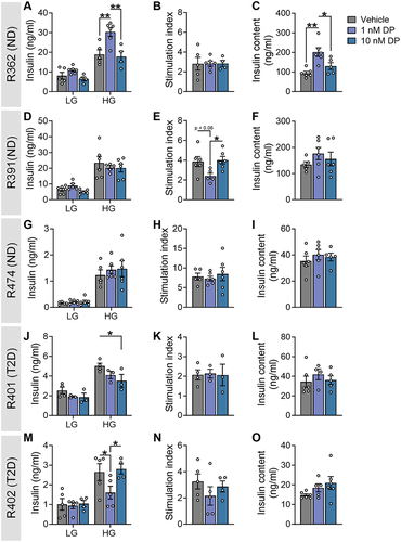 Figure 4. Effects of DP on insulin secretion from human islets varies between donors. Human islets from donors with no diabetes (ND; n = 3) or Type 2 diabetes (T2D; n = 2) were exposed to vehicle (DMSO) or DP (1, 10 nM) for 48-hours ex vivo. See Supplemental Table S1 for human donor characteristics. (a, d, g, j, m) Insulin secretion was quantified following a 1-hour static incubation in KRBB containing low glucose (LG; 2.8 mM) followed by high glucose (HG; 16.7 mM). (b, e, h, k, n) Stimulation index (HG:LG ratio). (c, f, i, l, o) Insulin content of islet lysates. All data represent the mean ± SEM. Individual datapoints represent technical replicates from a single donor. *p-value < .05, **p < .01 (GSIS: two-way ANOVA with Tukey post-hoc; stimulation index and insulin content: one-way ANOVA with Tukey post-hoc).