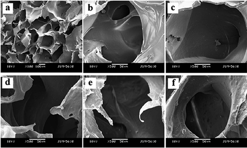 Figure 17. SEM images of porous SF/HA scaffolds with different molar contents of nHA: (a) 10% (b) 0% (c) 10% (d) 30% (e) 60% and (f) 70% [Citation184]