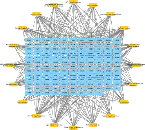 Figure 6 Target-pathway network diagram.