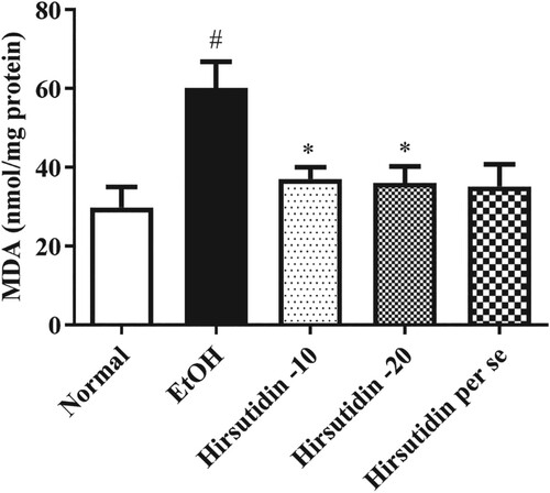 Figure 8. Effect of hirsutidin on malondialdehyde (MDA) in EtOH-induced mice. #P < 0.001 vs normal and *P < 0.05 vs EtOH.