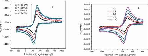 Figure 5. Cyclic voltammograms of using electrochemically activated GCE (A) and NiHCF modified GCE at different scan rates (B)