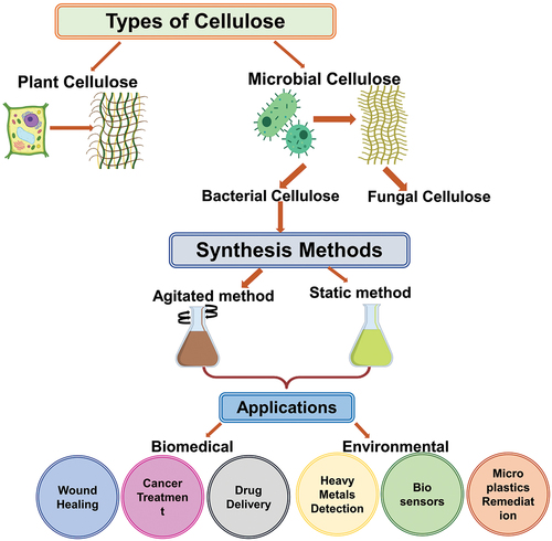 Figure 1. Schematic of the review article.