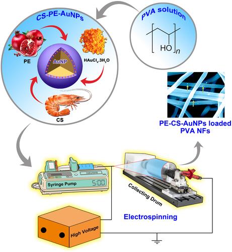 Figure 1 Schematic representation of the fabrication and electrospinning preparation steps of PE-CS-Au NPs and the proposed nanofibrous PE-delivery system.