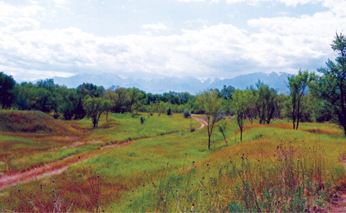 Figure 3. View looking south from the site toward the Tien Shan Mountains.