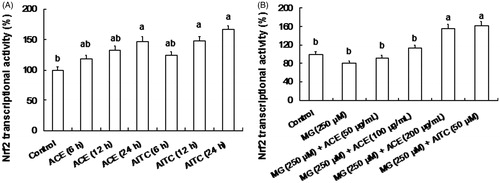 Figure 6. Promotion of ACE (50–200 μg/mL) and AITC (50 μM) on Nrf2 transcriptional activity in MG (250 μM)-induced Neuro-2A cells. (A) The Neuro-2A cells were treated by ACE or AITC for various times. In turn, luciferase activity was determined. (B) Cells were pre-treated with ACE or AITC for 6 h, and then Neuro-2A cells were induced by MG for 24 h. MG, methylglyoxal; AITC, allyl-isothiocyanate; ACE, Actinidia callosa ethanol extracts. Data are shown as mean ± SD (n = 5). Different letters indicate significant differences (p < 0.05).