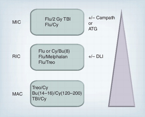Figure 1. A hierarchy of commonly used MIC, RIC and MAC regimens in PID patients.ATG: Antithymocyte globulin; Bu(8): Busulfan 8 mg/kg; Bu(14–16): Busulfan 14–16 mg/kg; Cy: Cyclophosphamide; Cy(120–200): Cyclophosphamide 120–200 mg/kg; DLI: Donor lymphocyte infusion; Flu: Fludarabine; Gy: Gray; MAC: Myeloablative conditioning; MIC: Minimal-intensity conditioning; RIC: Reduced-intensity conditioning; TBI: Total-body irradiation; Treo: Treosulfan.Adapted with permission from Citation[7].