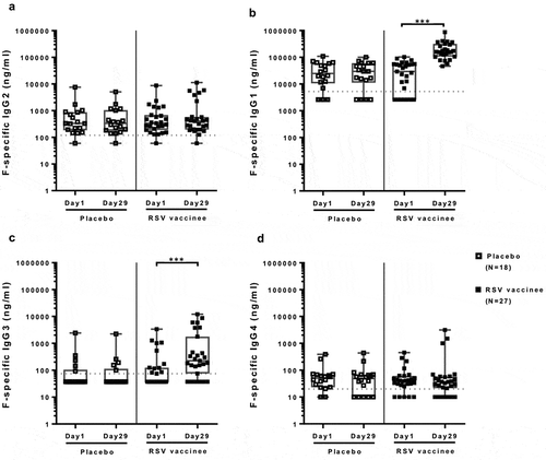 Figure 2. IgG subclass antibody responses to an adjuvanted investigational RSV sF vaccine. Data were derived from 27 vaccine and 18 placebo-recipients 60 to 88 years of age. The boxplots and whiskers represent the minimum, 1st quartile, median, 3rd quartile and maximum values. Dotted lines represent the LLOQ of 5250, 120, 75, and 20 ng/mL for F-specific IgG1, IgG2, IgG3 and IgG4 assays, respectively. Panel A: IgG1; Panel B: IgG2; Panel C: IgG3; Panel D: IgG4. IgG1 and IgG3 were significantly higher at day 29 compared with baseline in vaccinees (p ≤ 0.001), but not in placebo recipients