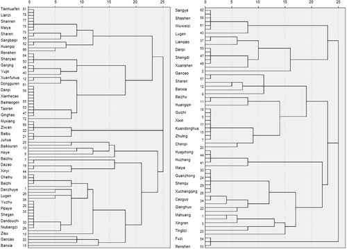 Figure 1 Protocol herbs cluster analysis (Left: Malaysia. Right: China).