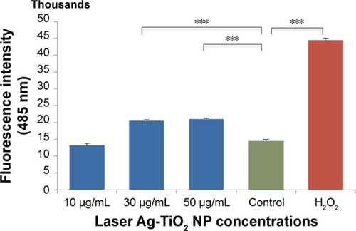 Figure 2 The effect of laser-generated Ag-TiO2 NPs on the production of ROS in Escherichia coli.Notes: Different concentrations of laser Ag-TiO2 NPs (10, 30 and 50 µg/mL) were cultured with E. coli for 5 hours in triplicate. The ROS levels were measured using the DCFH-DA kit and presented as the fluorescence intensity. Data are mean ± SE. Compared to the NP-free control, ***P≤0.001, n=3.Abbreviations: DCFH-DA, dichlorofluorescein diacetate; NP, nanoparticle; ROS, reactive oxygen species.