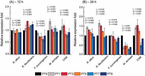 Figure 1. Relative quantification of in vitro rumen microbial populations at (A) 12 h and (B) 24 h incubation by different dose of Poncirus trifoliata extract. R. albus, Ruminococcus albus; R. flavefaciens, Ruminococcus flavefaciens; F. succinogenes, Fibrobacter succinogenes; M. archaea, Methanogenic archaea; CAM, ciliate-associated methanogens. Data were analyzed using PT dose levels of 0 (PT0), 3 mg/L (PT1), 9 mg/L (PT3), 15 mg/L (PT5), 21 mg/L (PT7), and 27 mg/L (PT9). L = linear effect; Q = quadratic effect; C = cubic effect. Error bars are standard error of the mean (n=3).