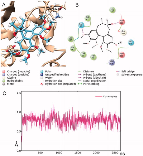 Figure 4. (A and B) best pose of cp1 (PLP) in complex to amylase; (C) RMSD in Angstrom of 26 ns MD simulation of compound cp1 (PLP) in complex to amylase.