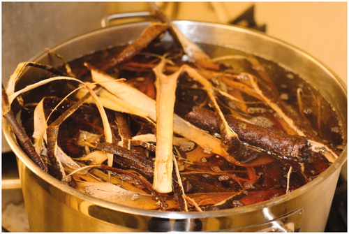 Figure 1. A close up of a pot of boiling willow bark. The bark is boiled to tan the reindeer skins. Photo: Viveca Mellegård.