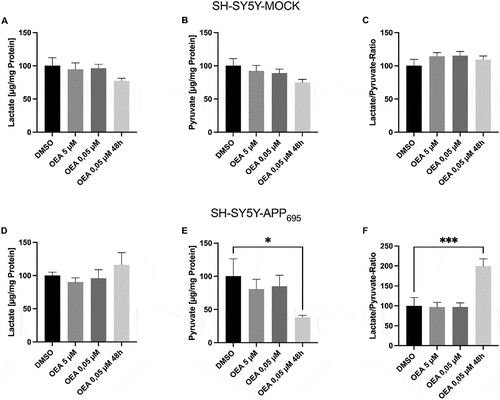 Figure 3. Effect of oleoylethanolamide (OEA) on lactate and pyruvate level in SH-SY5Y cells.Cells were incubated with 5 µM or 0,05 µM for 24 h, resp. again with 0,05 µM after 24 h. A 1:1 mixture of DMSO and cell culture media served as a control. (A) Lactate Levels of SH-SY5Y-MOCK cells after OEA incubation. (B) Pyruvate Levels of SH-SY5Y-MOCK cells after OEA incubation. (C) Lactate to pyruvate ratio in SH-SY5Y-MOCK cells after OEA incubation. (D) Lactate Levels of SH-SY5Y-APP695 cells after OEA incubation. (E) Pyruvate Levels of SH-SY5Y-APP695 cells after OEA incubation. (F) Lactate to pyruvate ratio in SH-SY5Y-APP695 cells after OEA incubation. Data are displayed as means ± SEM. n = 8. Statistical significance was tested via one-way ANOVA (*p < 0.05; ***p < 0,001).