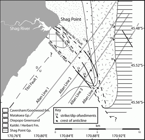 Figure 7  Schematic illustration of nearshore shelf geology in the vicinity of Shag Point seismic survey (survey 2 in Fig. 1). Strands of the Waihemo Fault System are identified and labelled; dashed lines are inferred faults that link faults on land to interpreted faults on seismic data offshore. Weakly constrained interpretations of seafloor sedimentary unit outcrops are shown north of Waihemo No. 2 Fault. South of Waihemo No. 2 Fault, unmapped seafloor sedimentary units are assumed to be Pleistocene sequences overlain by modern Holocene sediments from the mouth of the Shag River. Seismic lines are indicated by light grey lines. Dips of contacts are annotated where they were determined from seismic sections.