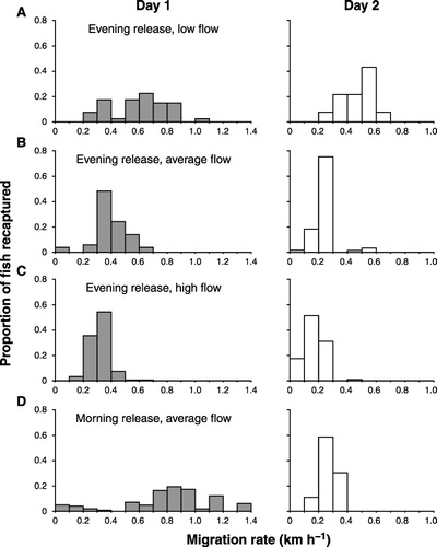 Figure 4 Migration rate of stained fish captured on the first day of fishing (grey bars) and the second day of fishing (white bars) after release 1 km upriver. A, For releases made in the evening with a low river flow; B, for releases made in the evening with an average river flow; C, for releases made in the evening with a high river flow; D, for releases made in the morning with an average river flow.