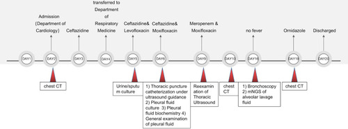 Figure 2 A flow chart describing the patient diagnosis process.