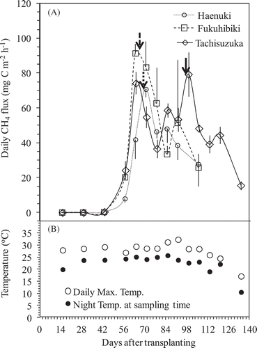 Figure 3. Changes in the daily CH4 flux (A) from the pots planted among three rice varieties and the daily maximum temperature and the night temperature at sampling time (B) throughout the experiment period. Bars indicate standard deviation (n = 4). Bold arrows in (A) indicate the heading days for each variety.