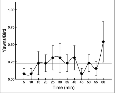 Figure 3. Overall yawn frequency (mean ± s.e.m.) during the testing period, broken down into 5 minute intervals. The horizontal line represents the mean yawn rate across intervals.