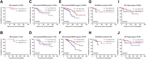 Figure 5 DFS and OS based on SII scores in patients with breast cancer of various molecular subtypes (Non-NACT group). (A) DFS as shown by Kaplan–Meier analysis based on the SII of patients with luminal A breast cancer. (B) OS as shown by Kaplan–Meier analysis based on the SII of patients with luminal A breast cancer. (C) DFS, as shown by Kaplan–Meier based on the SII of patients with luminal B HER2-positive breast cancer. (D) OS, as shown by Kaplan–Meier based on the SII of patients with luminal B HER2-positive breast cancer. (E) DFS, as shown by Kaplan–Meier based on the SII of patients with luminal B HER2-negative breast cancer. (F) OS, as shown by Kaplan–Meier based on the SII of patients with luminal B HER2-negative breast cancer. (G) DFS, as shown by Kaplan–Meier based on the SII of patients with HER2-enriched breast cancer. (H) OS, as shown by Kaplan–Meier based on the SII of patients with luminal B HER2-positive breast cancer. (I) DFS, as shown by Kaplan–Meier based on the SII of patients with triple-negative breast cancer. (J) OS, as shown by Kaplan–Meier based on the SII of patients with triple-negative breast cancer.