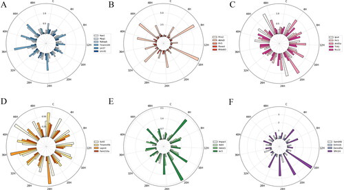 Figure 2. The mean deviation (MD) of mRNA expression in each subgroup at each injury time point. (A) ARE − CC; (B) ARE − BP; (C) ARE − MF; (D) ARE + CC; (E) ARE + BP; (F) ARE + MF. Each circle represents a numerical scale and the radial dividing line is used to distinguish the time of injury. The column diagram inside the circle shows the MD of mRNA expression at the injury time point and different colours represent different mRNAs. ARE, adenylate-uridylate-rich element; ARE+, mRNAs with ARE structure; ARE−, mRNAs without ARE structure; CC, mRNAs classified as cellular componentcategory; BP, mRNAs classified as biological process category; MF, mRNAs classified as multiple function category; C, control.