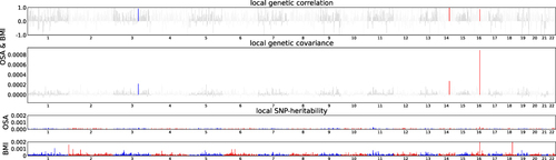 Figure 2 Local genetic correlation between OSA and BMI. Manhattan plot displayed the calculations of the local genetic correlation and local genetic covariance between OSA and BMI, along with their respective local SNP heritability. The presence of red and blue bars in “local genetic correlation” and “local genetic covariance” indicate significant regions sharing SNP heritability. These regions meet the criteria (P < 5e-08 in local SNP heritability test, and P < 0.05/1703 in local genetic covariance test).