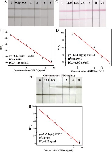 Figure 4. Images and calibration curves of ACNPs-LFA and CGNPs-LFA for NEO in milk samples.