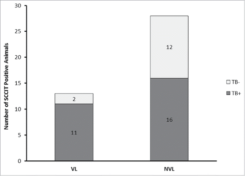 Figure 2. Frequency of detection of MTC-bacteraemia in VL and NVL groups. Distribution of MTC bacteraemia-positive (Dark Gray) and MTC bacteraemia-negative (Light samples for animals classified as having visible lesions (VL) or non-visible lesions (NVL) at post mortem.