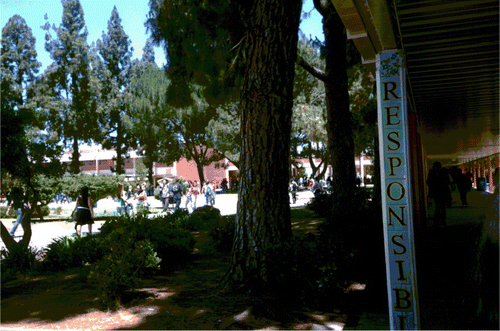 Figure 1. Mayra's photo of the ‘forest’ zone of campus.