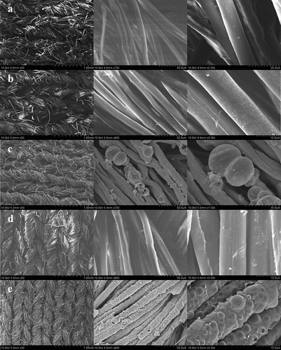 Figure 4. SEM of the control (a), treated (b), washed (c, d) fabrics, and char residue of treated (c), washed (e) fabrics.