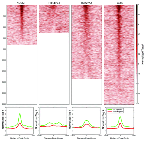 Figure 6. Profiles and heatmaps showing the normalized Tet1 signal for different classes of enhancers: ESC-Specific and eRNA-negative. The x-axis in both profiles and heatmaps corresponds to a 5kb window centered at each enhancer. The y-axis in the profiles reports the average normalized tag counts for all regions considered. Each row in the heatmap corresponds to one ESC-specific enhancer region.