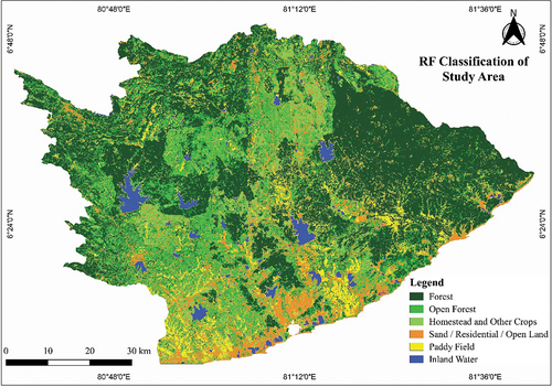 Figure 9. Map of the land cover classification using the RF classification.