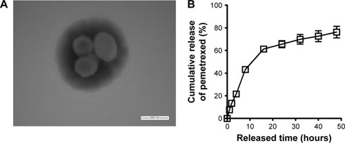 Figure 1 Characterization of liposomal pemetrexed. (A) Transmission electronic microscopy image of liposomal pemetrexed. Scale bar represents 200 nm. (B) In vitro release kinetics of pemetrexed from liposomal pemetrexed dissolved in PBS (0.1 M, pH 7.4). The release of pemetrexed was monitored using reversed-phase HPLC at different time periods. Data are presented as mean ± SD (n=3).Abbreviations: HPLC, high-performance liquid chromatography; PBS, phosphate-buffered saline.
