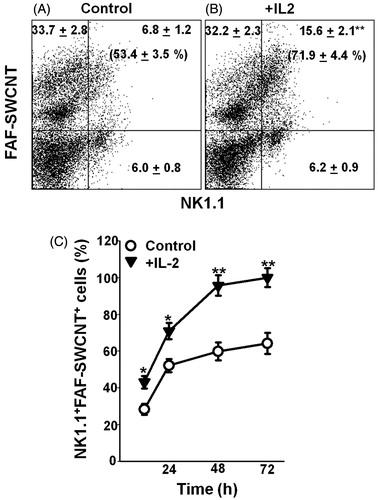 Figure 3. Uptake of FAF-SWCNT by control and IL-2-induced NK1.1 cells in culture. Mouse spleen cells (2 × 106/ml) were cultured in the absence (control) or presence of 500 U IL-2/ml along with 2 μg FAF-SWCNT/ml. After 12, 24, 48 or 72 h, cells were washed, stained with NK1.1 mAb and analyzed on a flow cytometer using NK 1.1 and FAF-SWCNTs [colors on X and Y axis, respectively]. Representative histograms for control and IL-2-activated cells at 24 h time-point are shown in Panels A and B, respectively. Values shown in each quadrangle indicate are the means [±SEM] fractions of cells in that quadrangle, from three replicate experiments. At all four timepoints, the percentages of NK 1.1+FAF-SWCNT+ cells as a percentage of all NK1.1+ cells were computed from flow histograms and plotted vs. time (Panel C). Values shown are mean [± SEM] percentages of NK cells positive for FAF-SWCNT at all timepoints, from three replicate experiments (Panel C). *p < 0.05, **p < 0.01 vs. control (Student’s t-test).