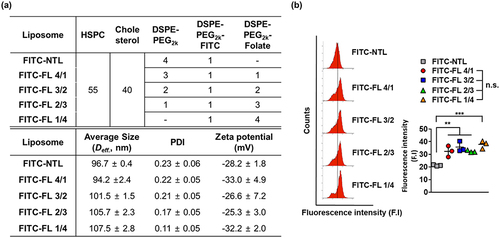 Figure 1 Preparation and characterization of FITC-labeled folate-conjugated liposomes (FITC-FLs). (a) Composition of liposomes (molar ratio %), particle size, polydispersity index (PDI), and zeta potential of liposomes. (b) Flow cytometric analysis of cellular uptake 5 h after sample treatment.
