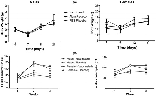 Figure 1. Parameters of general toxicity of repeat-dose administration of vaccine to mice. (A) Body weight behavior in male (left) and female (right) mice. (B) Average total food (left) and water (right) consumption for each week. As data within each of the Alum and Placebo groups did not differ at any timepoint, for the purpose of simplicity in (B) these values were pooled and showed as Placebo.