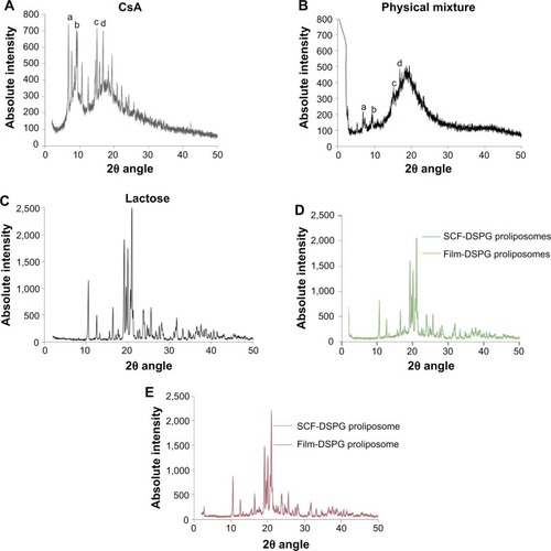 Figure 4 XRD patterns of (A) CsA, (B) physical mixture (lipid+CsA+cholesterol), (C) lactose, (D) SCF and film-method-based proliposomes prepared using Lipoid EPCS (phosphatidylcholine from egg lecithin), and (E) SCF and film-method-based proliposomes prepared using HSPC, DSPC, and DSPG. The characteristic peaks of CsA were found at 6.78° (a), 9.12° (b), 15.06° (c) and 16.80° (d).Abbreviations: SCF-DSPG and Film-DSPG, proliposomes containing HSPC, DSPC, DSPG prepared using supercritical fluid of carbon dioxide and conventional film methods; XRD, X-ray diffraction; CsA, cyclosporin A; SCF, supercritical fluid; HSPC, hydrogenated soy phosphatidylcholine; DSPC, distearoylphosphatidylcholine; DSPG, distearoylphosphatidylglycerol.