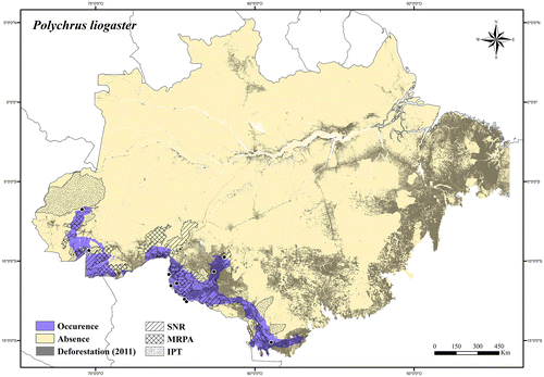 Figure 84. Occurrence area and records of Polychrus liogaster in the Brazilian Amazonia, showing the overlap with protected and deforested areas.
